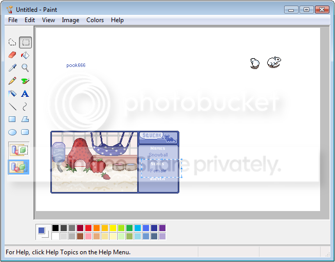 User Image